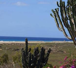 Schöner Strand