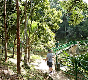 Holzsteg durch Las Terrazas