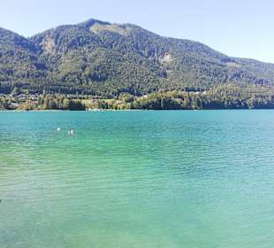 Wandern Fuschl am See