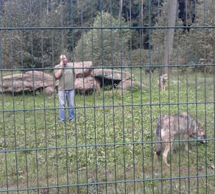 Fsfütterung sehr empfehlenswert
