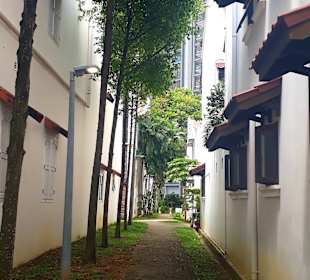 Emerald Hill Road