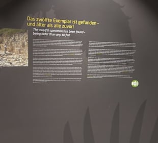 Dinosaurier Museum Altmühltal