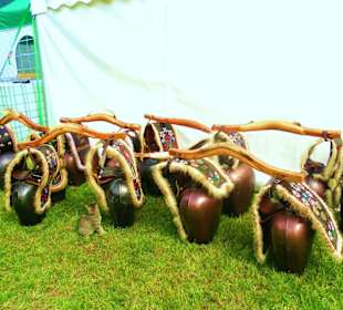 Alpabtrieb / Au / Vorarlberg Österreich