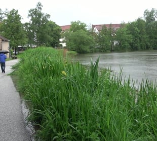 Stadtsee