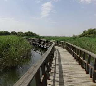 Ojos del Guadiana