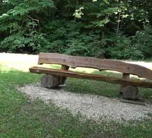 Froschteich