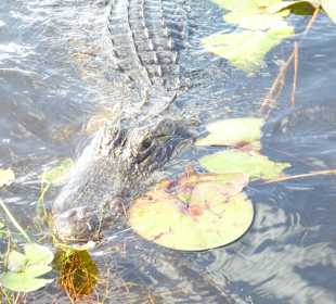 Bitte recht freundlich