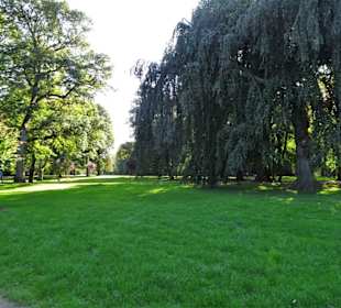 Impressionen aus dem Stadtpark von Lübeck