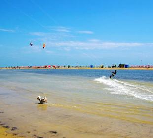 Strand Bibione 06_2011