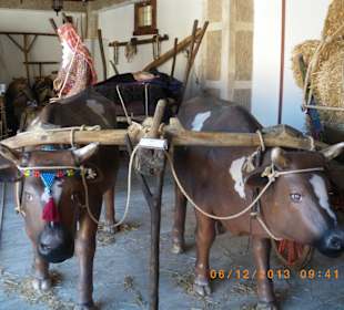 Evrenseki Kultur evi