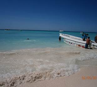 Saona
