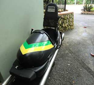 Bob zum Anschauen an der Talstation