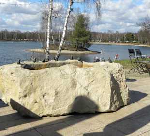 Restaurant Cafe Am Springhorstsee