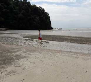 Ein Teilstück ist Muschelstrand