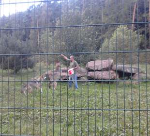 Fsfütterung sehr empfehlenswert