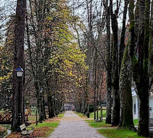 Kastanienallee