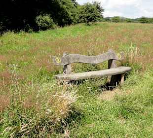 Bänke an den Wegen durch die Dönche