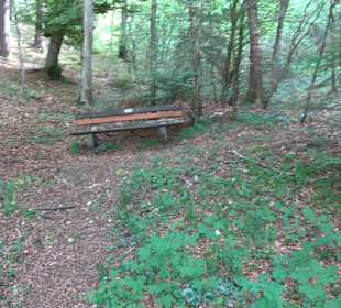 Waldlehrpfad in Tieringen