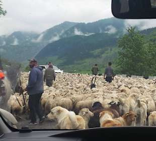 Gruzińska Droga Wojenna