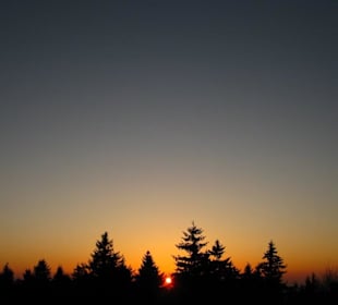 Gerade noch erwischt, gleich ist sie weg