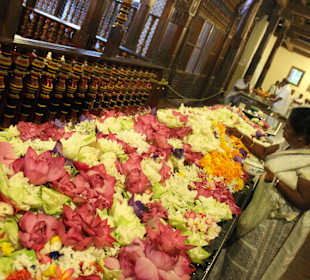 Blumen als Opfergaben soweit das Auge reicht