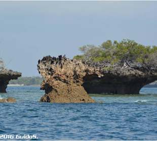 Inselgrüppchen bei Wasini Island