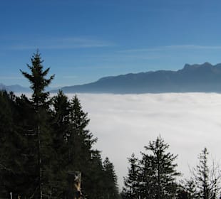 Nebelmeer vom Aussichtspunkt Chapf Amden