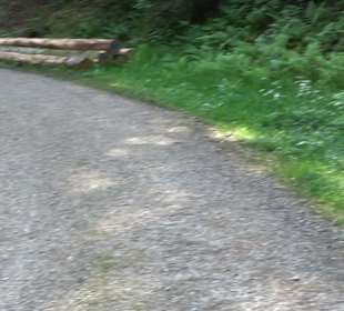 Teufelskanzelsteig Bad Griesbach