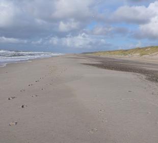 Der schöne lange Strand