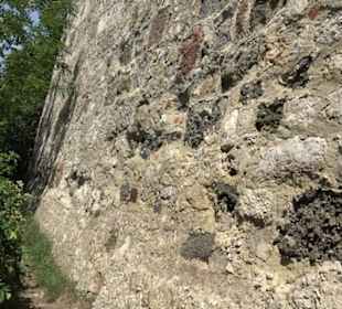 Burgruine Niederhaus