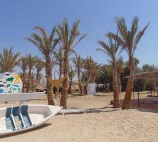 Strand von Abu Dabbab