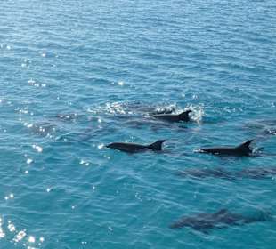 Vom Boot aus  gesehen!