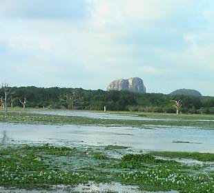 Zwei kleine Berge ...