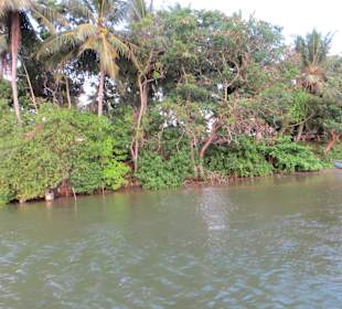 Flussfahrt direkt vor dem Club Hotel Dolphin mit Haralds Boo