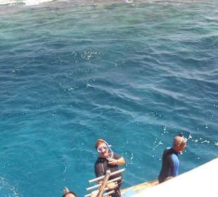 Tauchgang mit Oototo