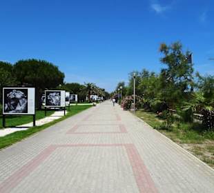Spaziergang über die Strandpromenade Argelès-Plage