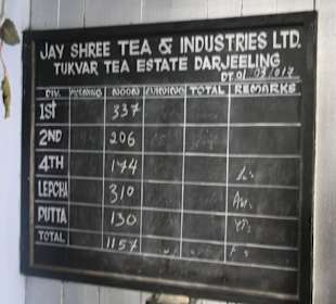 Teefabrik Puttabong Tea Estate