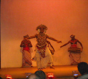 Kandy Dancer