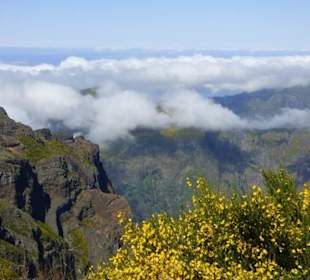 Einzigartige Landschaft