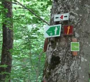 Hochgeträumt Premiumwanderung