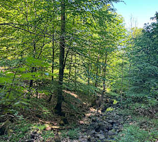 Wandern Bad Harzburg