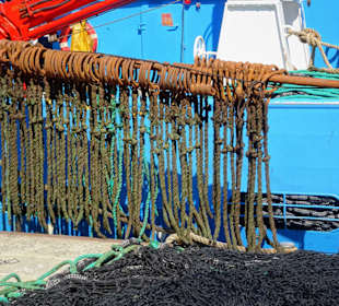 Die Fischtrawler im Hafen von Port Vendres