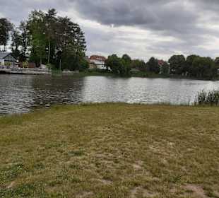 Seewoog in Ramstein-Miesenbach