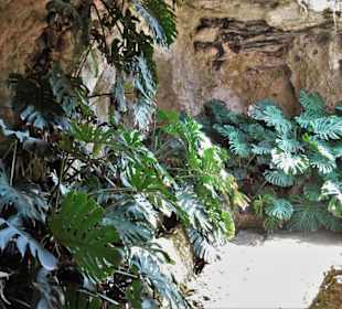 Rundgang durch den Botanischen Garten Cagliari