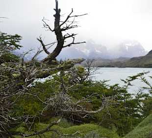 Park Narodowy Torres del Paine