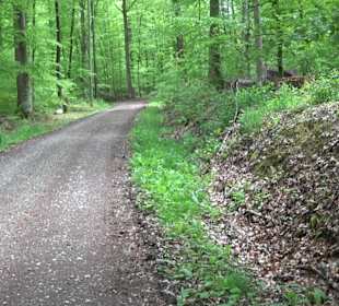 Wandertour Feuchtgebiet Schönbuch