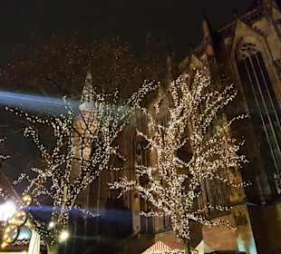 In der Höhe vom Rathaus