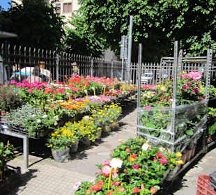 Montecatini Terme Markt