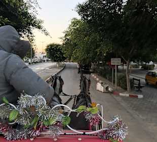 Stadtrundfahrt Sousse