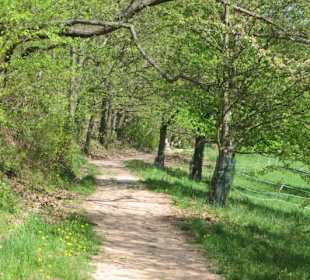 Theresienweg Weyher